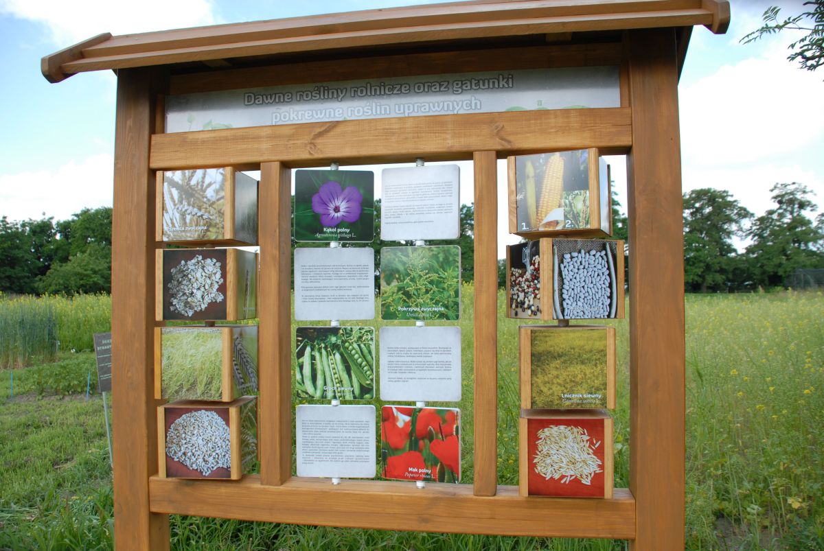 Instytut Hodowli i Aklimatyzacji Roślin - Państwowy Instytut Badawczy